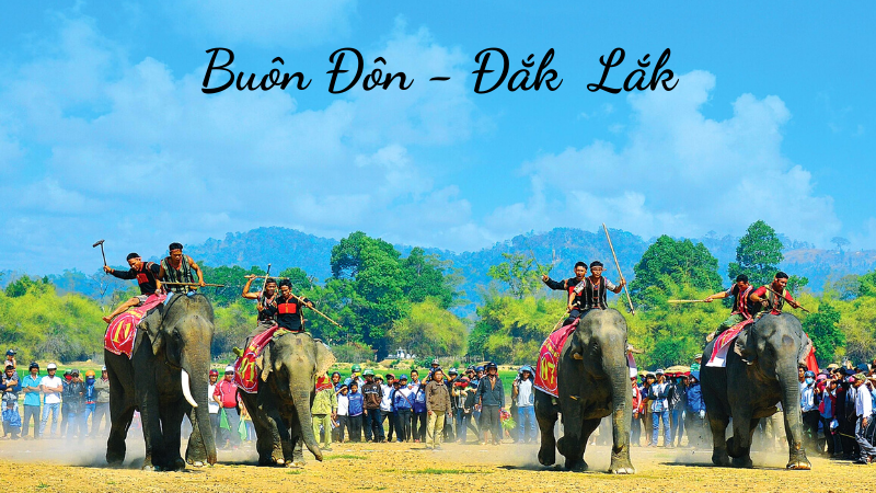 Hành trình khám phá Buôn Đôn thăm "chú voi con ở Bản Đôn"